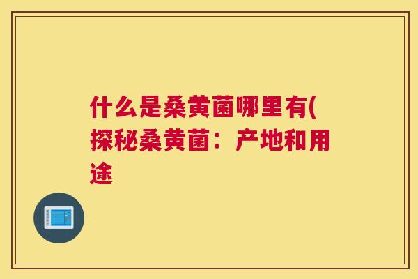 什么是桑黄菌哪里有(探秘桑黄菌：产地和用途