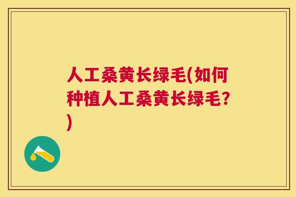 人工桑黄长绿毛(如何种植人工桑黄长绿毛？)