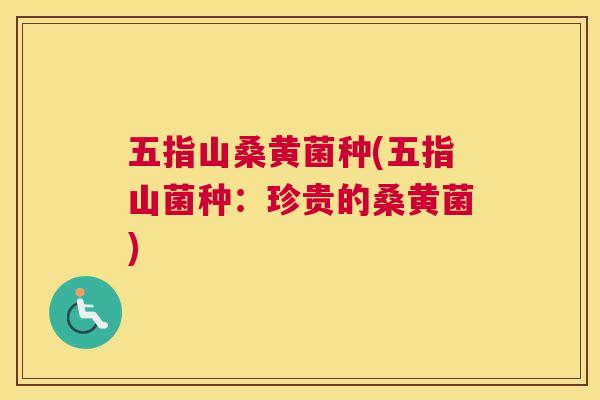 五指山桑黄菌种(五指山菌种：珍贵的桑黄菌)