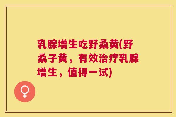 乳腺增生吃野桑黄(野桑子黄，有效乳腺增生，值得一试)