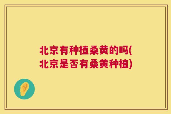 北京有种植桑黄的吗(北京是否有桑黄种植)