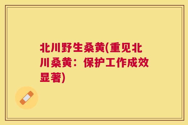 北川野生桑黄(重见北川桑黄：保护工作成效显著)