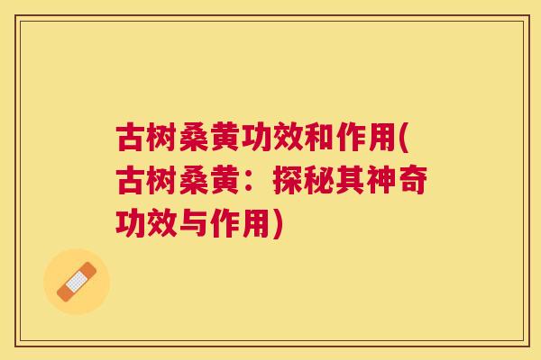 古树桑黄功效和作用(古树桑黄：探秘其神奇功效与作用)