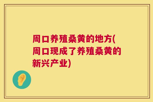 周口养殖桑黄的地方(周口现成了养殖桑黄的新兴产业)