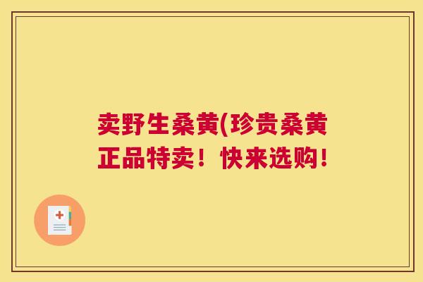 卖野生桑黄(珍贵桑黄正品特卖！快来选购！
