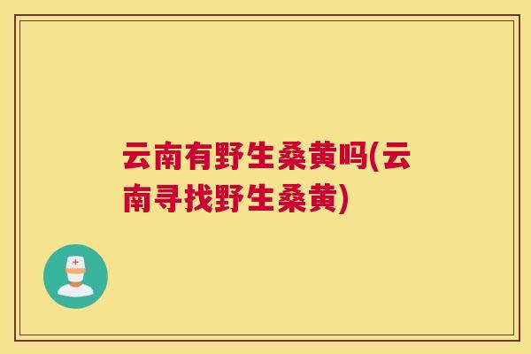 云南有野生桑黄吗(云南寻找野生桑黄)