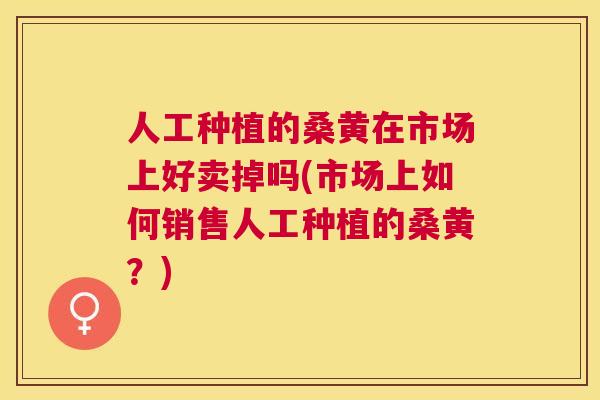 人工种植的桑黄在市场上好卖掉吗(市场上如何销售人工种植的桑黄？)