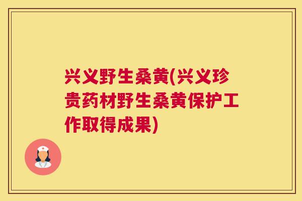 兴义野生桑黄(兴义珍贵药材野生桑黄保护工作取得成果)
