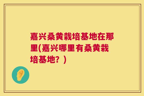 嘉兴桑黄栽培基地在那里(嘉兴哪里有桑黄栽培基地？)