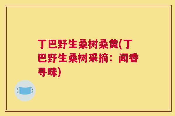 丁巴野生桑树桑黄(丁巴野生桑树采摘：闻香寻味)