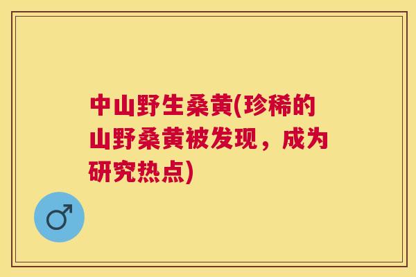 中山野生桑黄(珍稀的山野桑黄被发现，成为研究热点)