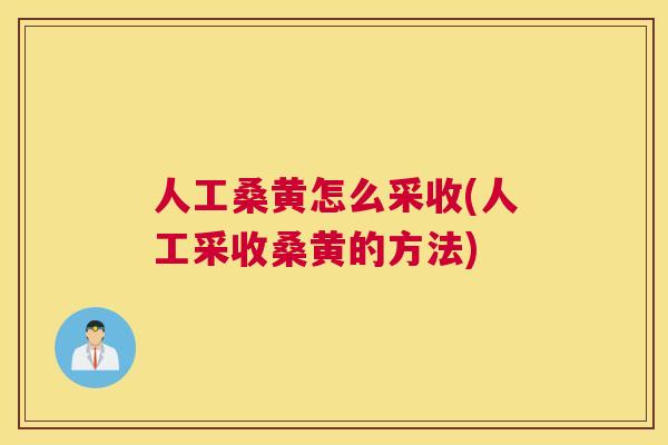 人工桑黄怎么采收(人工采收桑黄的方法)