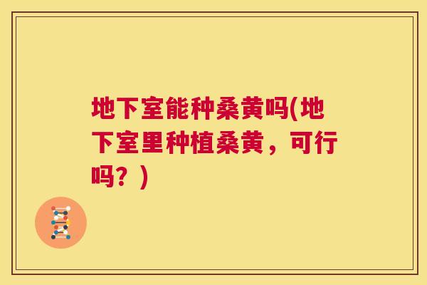 地下室能种桑黄吗(地下室里种植桑黄，可行吗？)