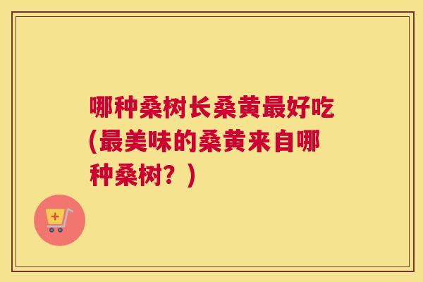 哪种桑树长桑黄好吃(美味的桑黄来自哪种桑树？)
