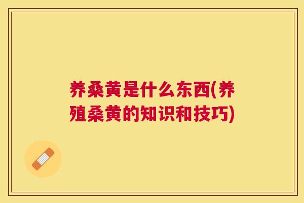 养桑黄是什么东西(养殖桑黄的知识和技巧)