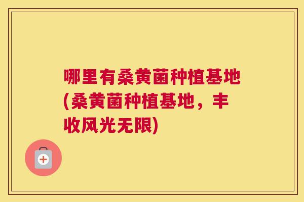 哪里有桑黄菌种植基地(桑黄菌种植基地，丰收风光无限)