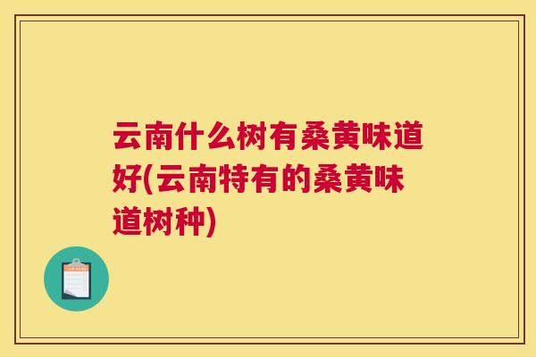 云南什么树有桑黄味道好(云南特有的桑黄味道树种)