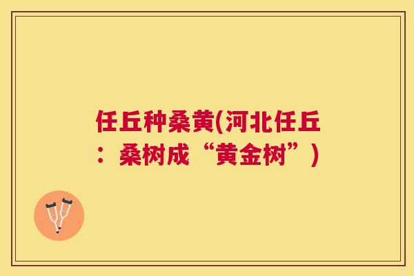 任丘种桑黄(河北任丘：桑树成“黄金树”)