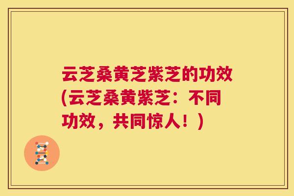 云芝桑黄芝紫芝的功效(云芝桑黄紫芝：不同功效，共同惊人！)