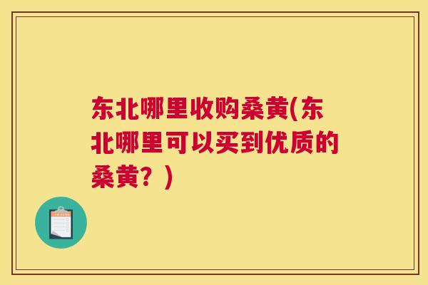 东北哪里收购桑黄(东北哪里可以买到优质的桑黄？)