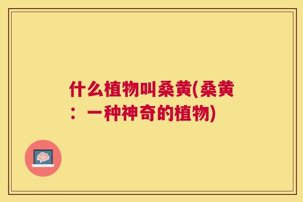 什么植物叫桑黄(桑黄：一种神奇的植物)