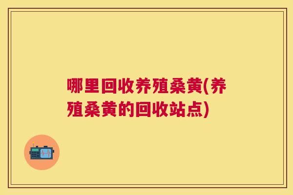 哪里回收养殖桑黄(养殖桑黄的回收站点)