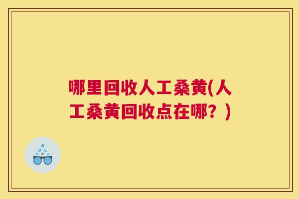 哪里回收人工桑黄(人工桑黄回收点在哪？)