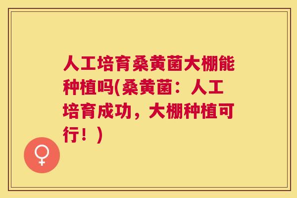 人工培育桑黄菌大棚能种植吗(桑黄菌：人工培育成功，大棚种植可行！)