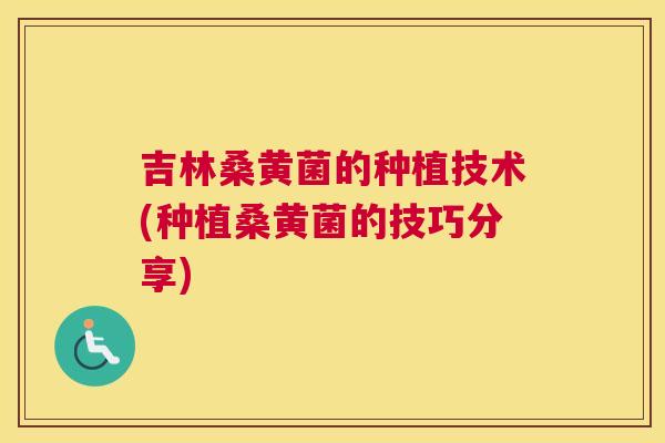 吉林桑黄菌的种植技术(种植桑黄菌的技巧分享)