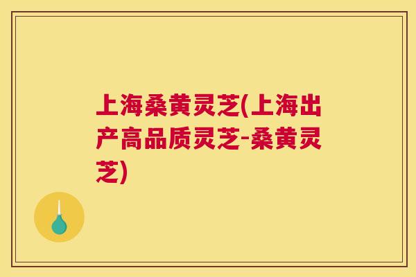 上海桑黄灵芝(上海出产高品质灵芝-桑黄灵芝)
