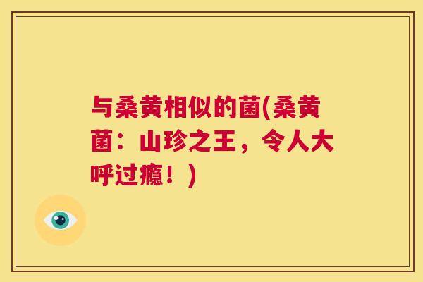 与桑黄相似的菌(桑黄菌：山珍之王，令人大呼过瘾！)