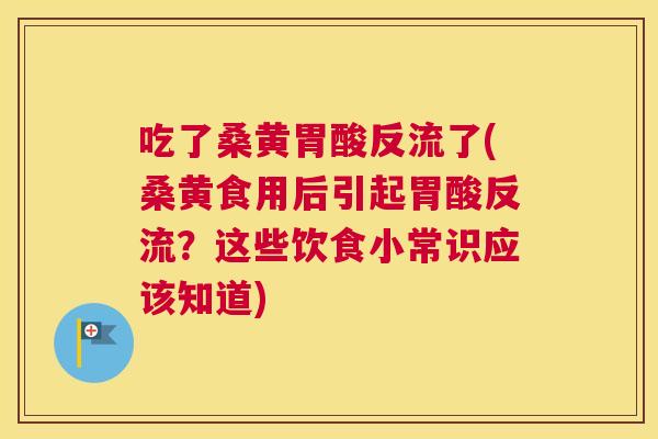 吃了桑黄胃酸反流了(桑黄食用后引起胃酸反流？这些饮食小常识应该知道)