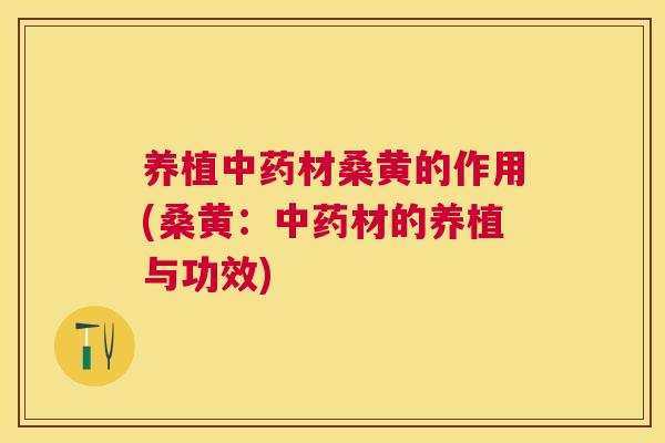 养植材桑黄的作用(桑黄：材的养植与功效)