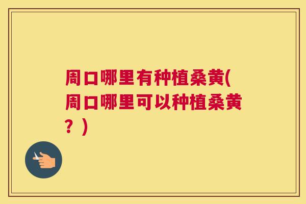 周口哪里有种植桑黄(周口哪里可以种植桑黄？)