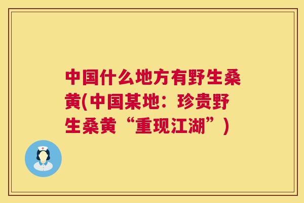 中国什么地方有野生桑黄(中国某地：珍贵野生桑黄“重现江湖”)