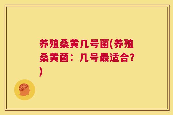 养殖桑黄几号菌(养殖桑黄菌：几号适合？)