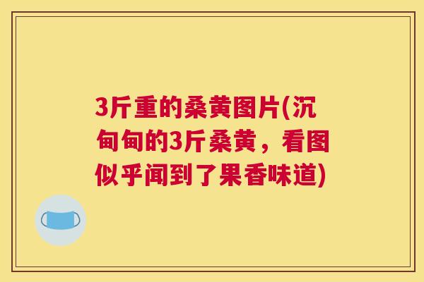 3斤重的桑黄图片(沉甸甸的3斤桑黄，看图似乎闻到了果香味道)