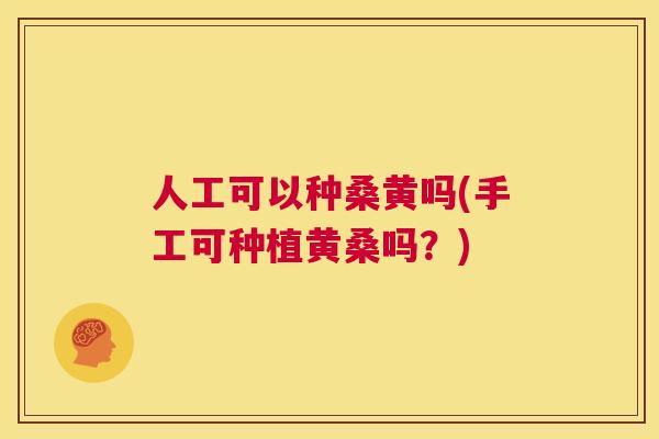 人工可以种桑黄吗(手工可种植黄桑吗？)