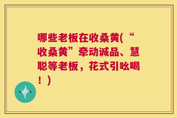 哪些老板在收桑黄(“收桑黄”牵动诚品、慧聪等老板，花式引吆喝！)
