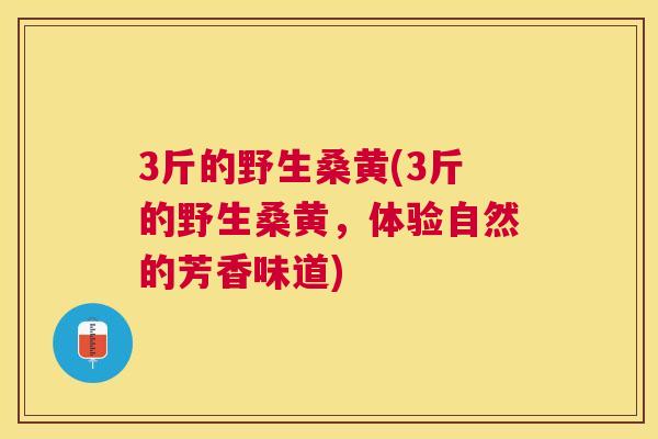 3斤的野生桑黄(3斤的野生桑黄，体验自然的芳香味道)