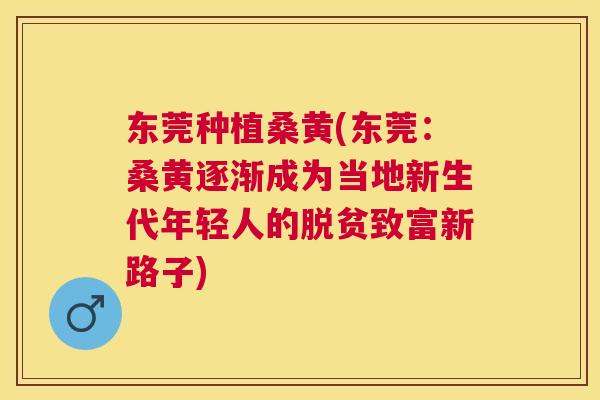 东莞种植桑黄(东莞：桑黄逐渐成为当地新生代年轻人的脱贫致富新路子)