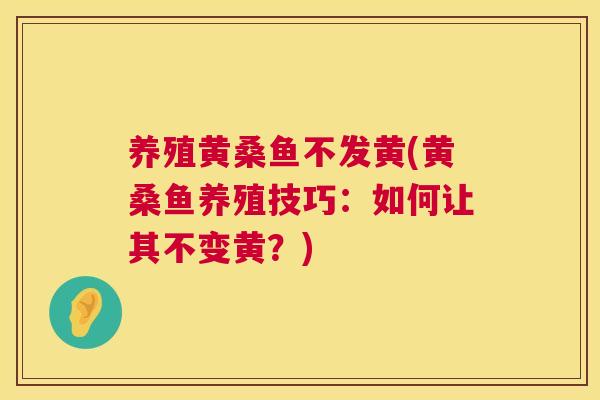 养殖黄桑鱼不发黄(黄桑鱼养殖技巧：如何让其不变黄？)