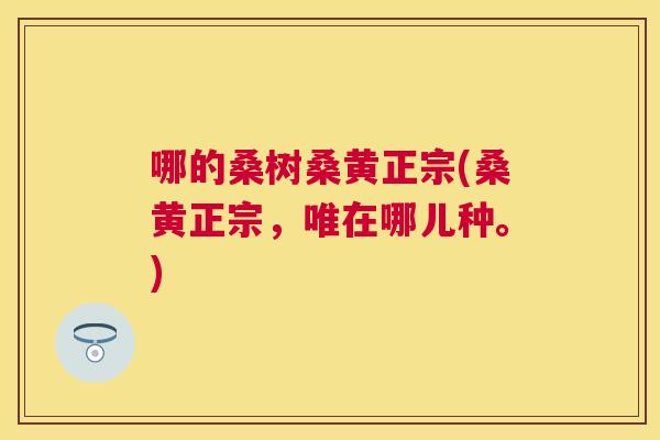 哪的桑树桑黄正宗(桑黄正宗，唯在哪儿种。)