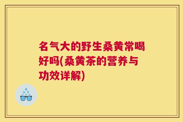 名气大的野生桑黄常喝好吗(桑黄茶的营养与功效详解)