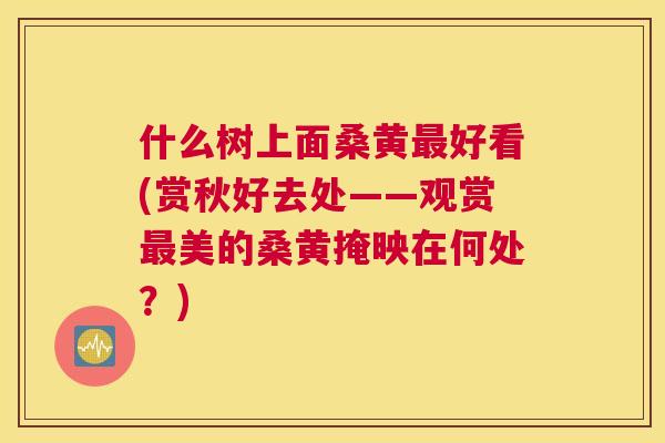 什么树上面桑黄好看(赏秋好去处——观赏美的桑黄掩映在何处？)
