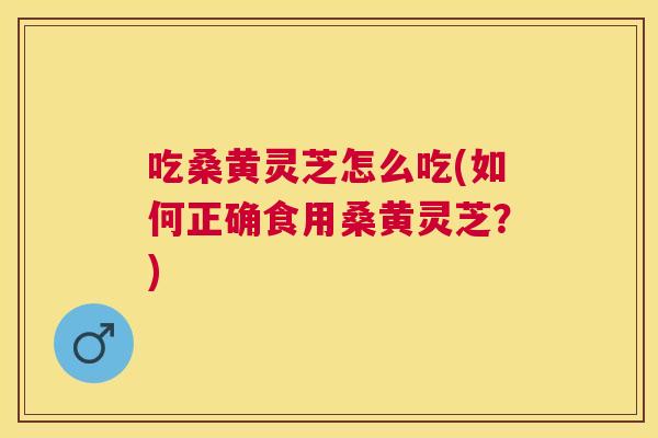 吃桑黄灵芝怎么吃(如何正确食用桑黄灵芝？)