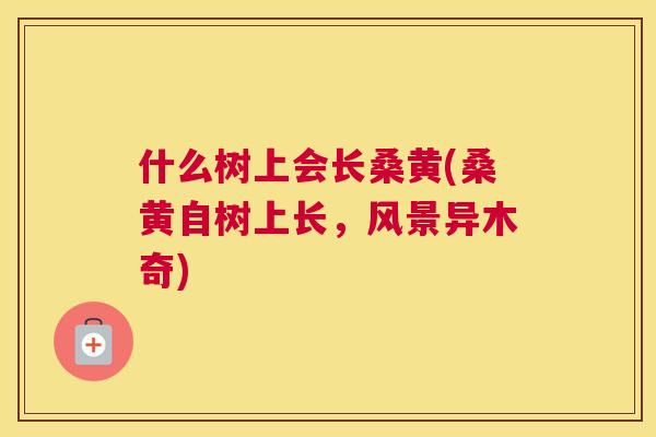 什么树上会长桑黄(桑黄自树上长，风景异木奇)