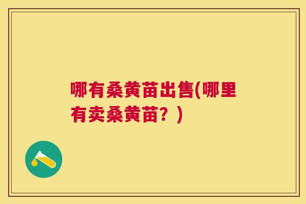 哪有桑黄苗出售(哪里有卖桑黄苗？)