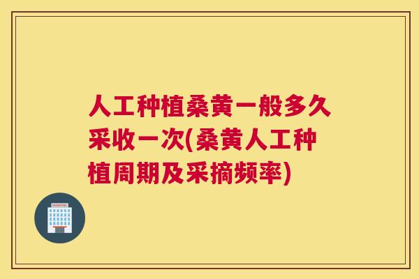 人工种植桑黄一般多久采收一次(桑黄人工种植周期及采摘频率)
