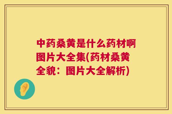 桑黄是什么药材啊图片大全集(药材桑黄全貌：图片大全解析)